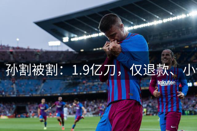 孙割被割：1.9亿刀，仅退款、小作文惹毛川普